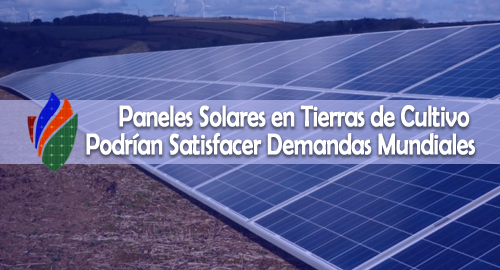 Paneles Solares en Tierras de Cultivo Podrían Satisfacer Demandas Mundiales de Energía