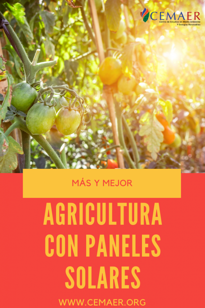 Agricultura con Paneles Solares