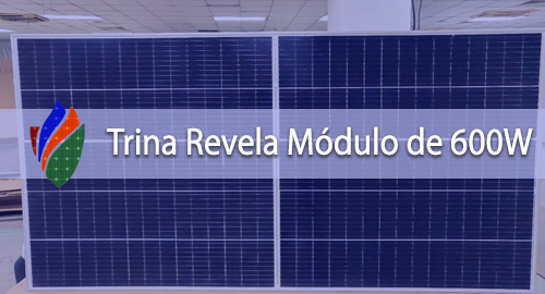 Trina Revela Módulo de 600W