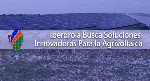 Iberdrola Busca Soluciones Innovadoras Para la Agrivoltaica