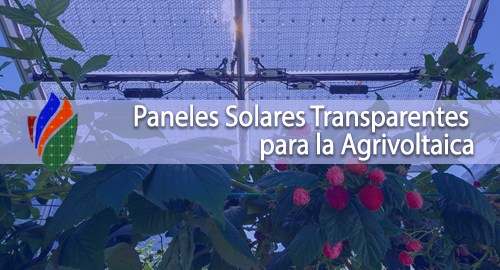 Paneles Solares Transparentes para la Agrivoltaica
